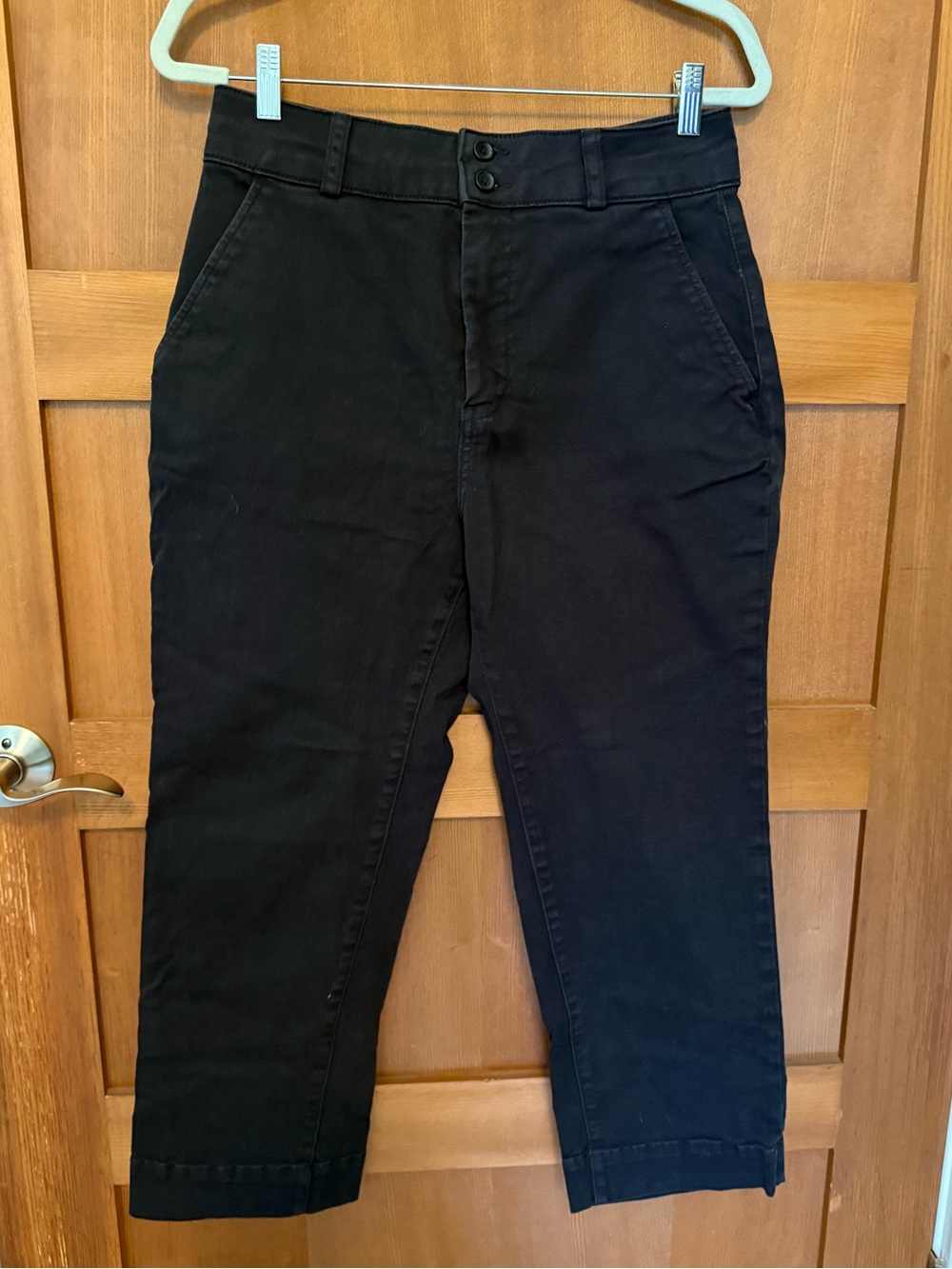 Everlane Black Wide Leg Crop
Pants 10